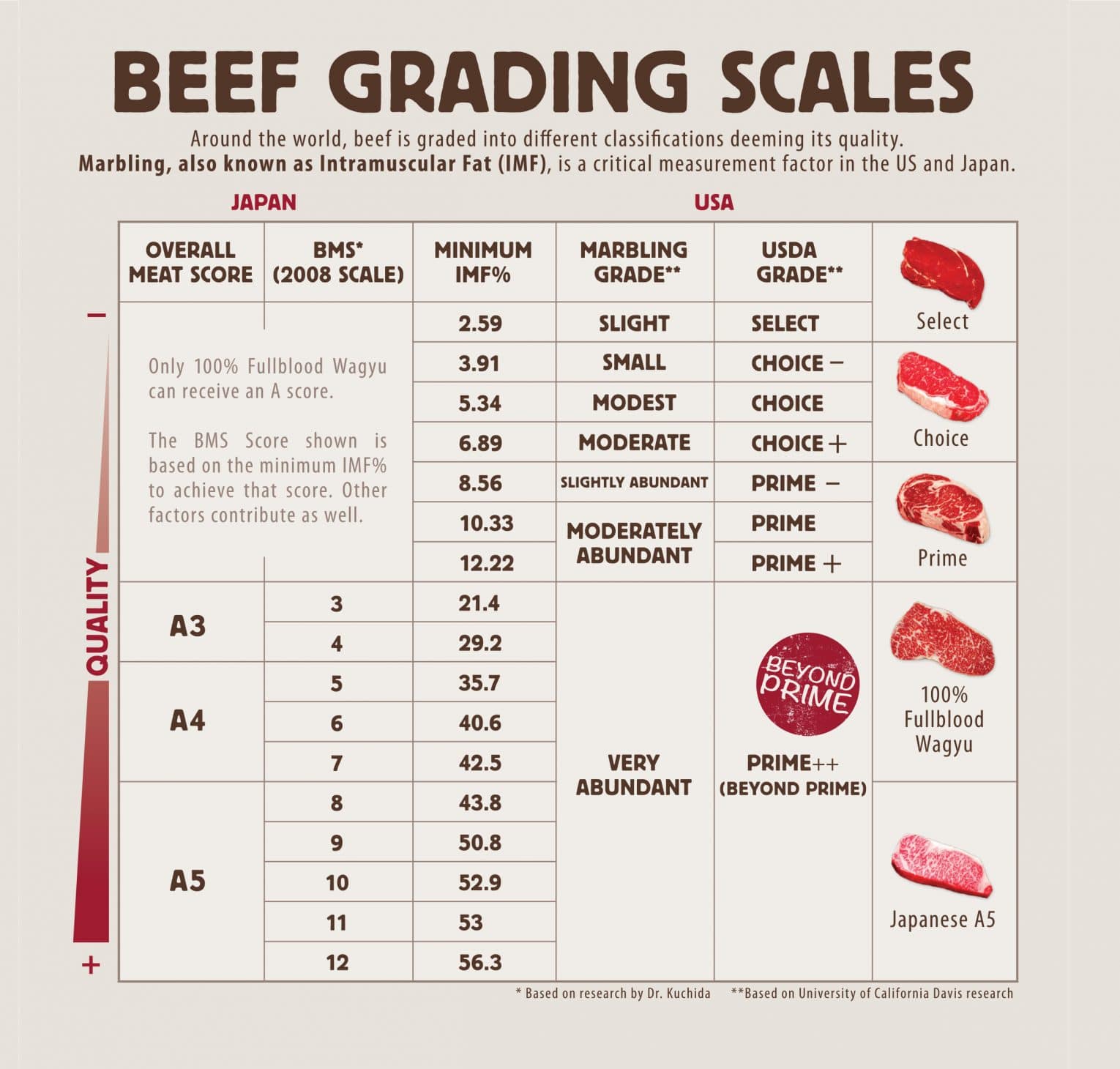 standard grading percentages